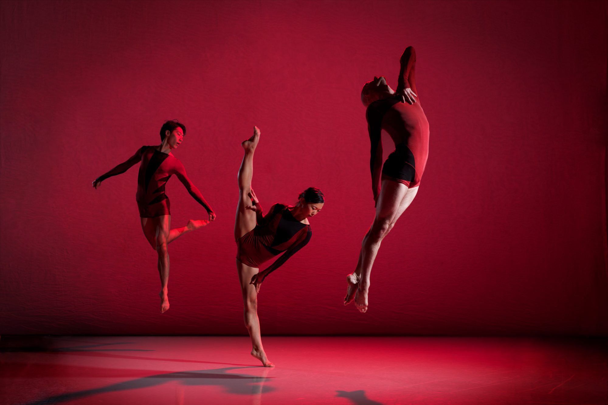 Signal - Phoenix Dance Theatre